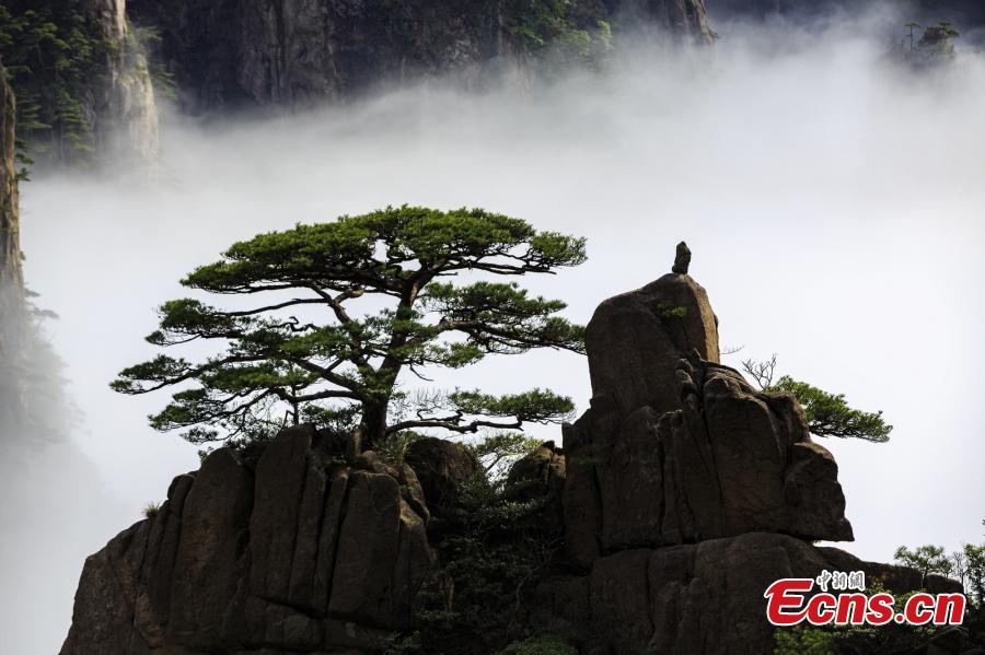 After rain, clouds surround the Xihai Grand Canyon, a sight-seeing spot on Mount Huang in Anhui Province, April 11, 2019. The mountain is a UNESCO World Heritage site, and one of China\'s major tourist destinations. (Photo: China News Service/Ye Yongqing)