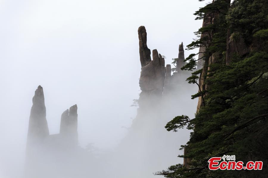 After rain, clouds surround the Xihai Grand Canyon, a sight-seeing spot on Mount Huang in Anhui Province, April 11, 2019. The mountain is a UNESCO World Heritage site, and one of China\'s major tourist destinations. (Photo: China News Service/Ye Yongqing)