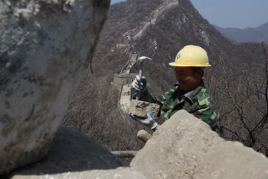A restorer checks an old wall brick (PHOTO/CHINA DAILY)

A brick specially made for restoration of the Great Wall sells for 16 yuan ($2.4), but it costs double that by the time it reaches the top of Jiankou by truck, tractor or mule. Plus, to control the quality of urban air, making such bricks in traditional ways is no longer permitted by environmental authorities in Beijing. These bricks have to be made in other provinces.

Having seen parts of the wall destroyed by rain water before, Cheng says his team decided to partially retain some areas of rubble.

\