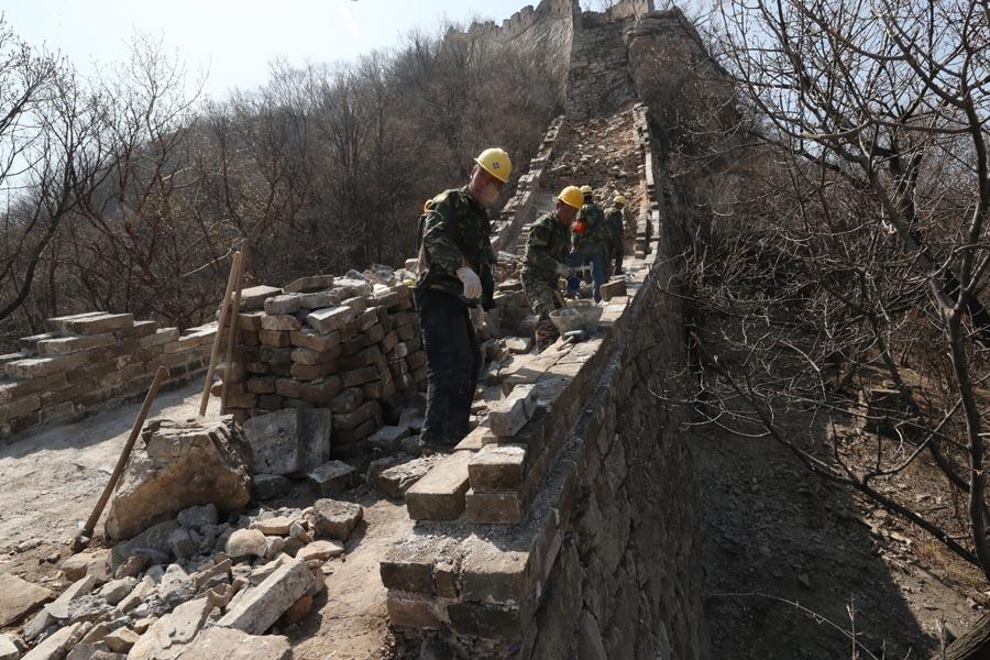 Workers lay bricks to restore part of the wall. (PHOTO/CHINA DAILY)

Water and greens

Cheng Yongmao, 63, is the chief engineer for the Jiankou restoration. According to him, a principle of \