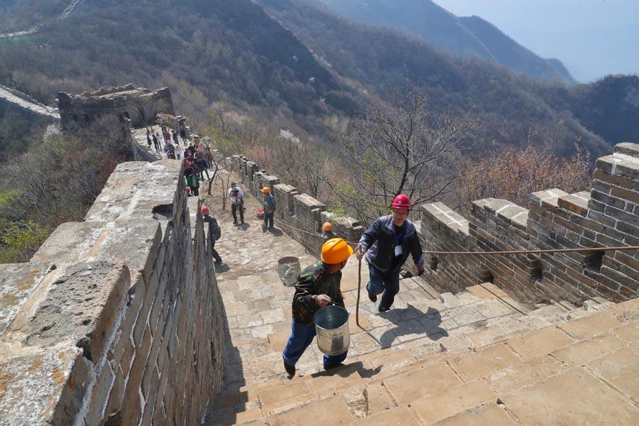 Members of a restoration team climb up the Jiankou section of the Great Wall.  (PHOTO/CHINA DAILY)

Li, a leading bricklayer in the project and a local villager in Huairou, has worked on the restoration of the wall for the past 15 years.

\
