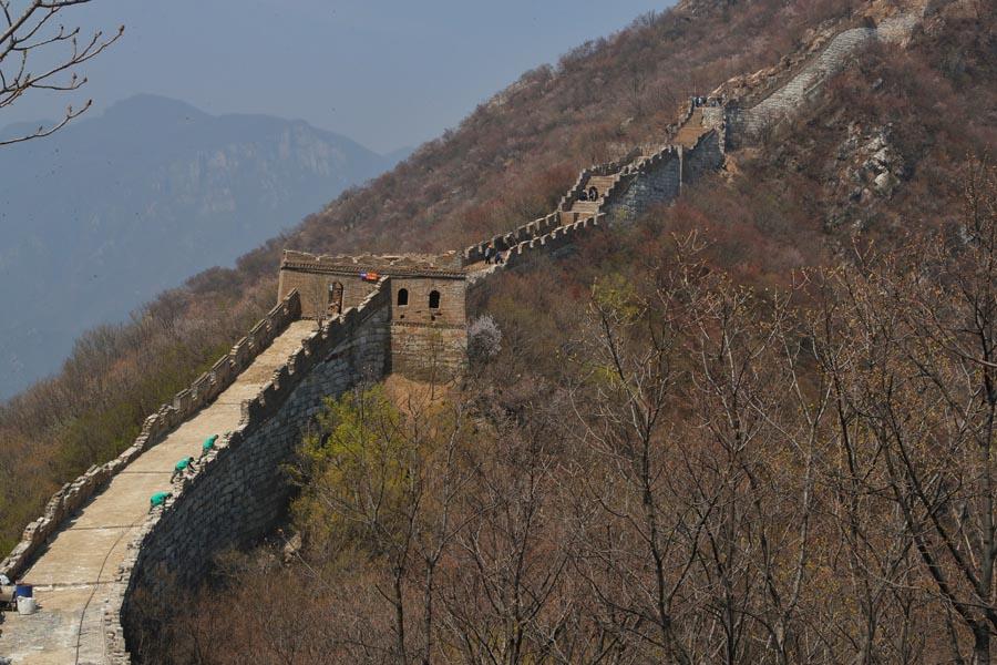 Jiankou, one of the toughest sections of the Great Wall to climb in Beijing, is going through its second phase of restoration.  (PHOTO/CHINA DAILY)

The second phase of restoration work on the toughest section of the Great Wall is soon to be completed, Wang Kaihao reports.

There is little doubt that Jiankou is the toughest Beijing section of the Great Wall to climb. From the base of the hills in Huairou district, there is hardly a proper road that leads up to the wall except for a rocky path through cliffs. And in many places, the wall has collapsed, so walking along the top may lead to crawling as well.

Nevertheless, Li Jingdong and his colleagues from a restoration team have to try walking over this section of the Great Wall twice a day.

\
