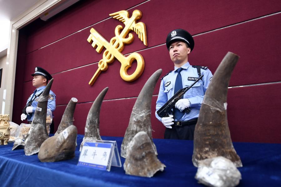 Guangzhou Customs holds a news conference in Guangzhou, Guangdong Province, April 18, 2019, showing items seized during anti-smuggling campaigns that began at the start of this year. They announced that 23 suspects and illegal wildlife products, such as ivory and rhinoceros horns, were caught in 111 anti-smuggling cases. Authorities took down a cross-border ring suspected of smuggling 333.8 kilograms of rhinoceros horns and detained seven suspects.  (Photo: China News Service/Ji Dong)