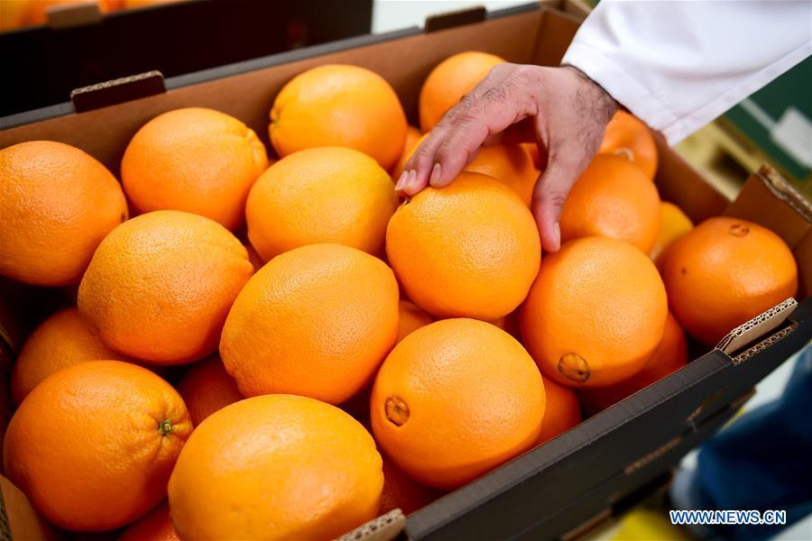 A worker checks and packs oranges at a packing factory located in Beheira Province, Egypt, on Jan. 18, 2018. Thanks to the fast-growing demand in China for quality fruits, Egypt has witnessed a rapid increase in its citrus exports to China in the past years, which has led many Egyptian citrus farms to prosper. Food of a particular place is an important symbol of local geographic and cultural characteristics. Food carries history and tradition, leads the tide of trade, strengthens diplomatic relations, disseminates and promotes culture. Food has been serving as connections between people around the world. In ancient times, food such as grapes, pomegranates, walnuts, coriander, cucumbers and sesame seeds were introduced to China along the Silk Road. Nowadays, thanks to the Belt and Road Initiative, red wine, coffee, dried fruits, meat, seafood, and dairy products from foreign countries enter the homes of ordinary people, turning daily meals into feasts with exotic cuisines. (Xinhua/Zhao Dingzhe)
