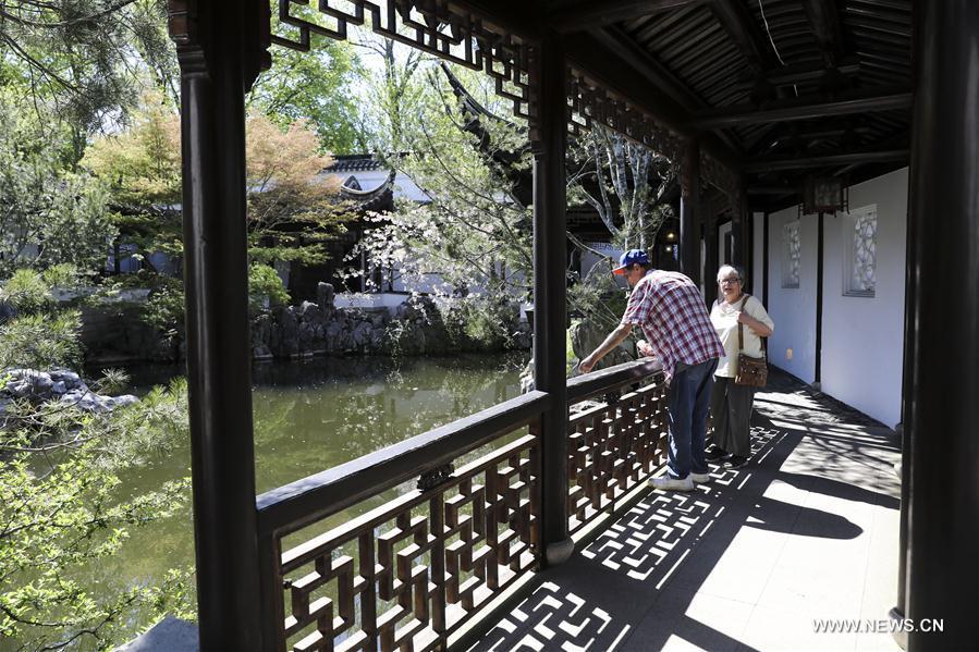 Visitors enjoy the spring scenery in the Chinese Scholar\'s Garden on Staten Island, New York, the United States, April 23, 2019. (Xinhua/Wang Ying)