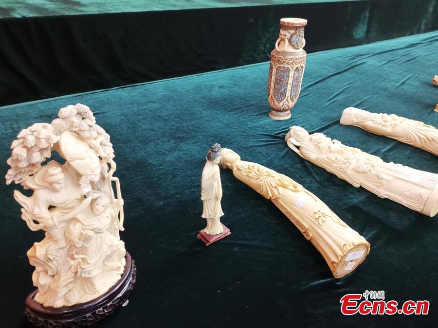 Shenzhen Customs shows items seized during coordinated anti-smuggling campaigns in Shenzhen, Wuxi and Shanghai, during a news conference in Shenzhen, Guangdong province, April 25, 2019. Authorities seized 10 suspects and illegal wildlife products weighing 209 kilograms, such as ivory and rhinoceros horns. (Photo: China News Service/Chen Wen)