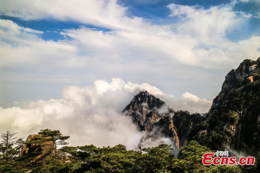 The spectacular view of Mt. Huang scenic area in Anhui Province. After several rainy and foggy days, the UNESCO world heritage site once again offers views of the clouds from above, known as the Sea of Clouds. (Photo: China News Service/Li Jingang)