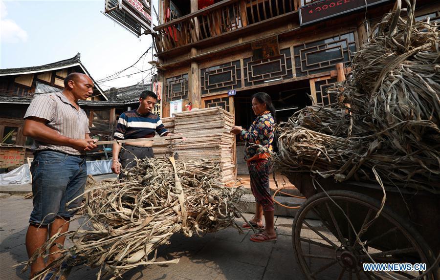 Wang Xingwu (C), a papermaker, weighs the raw material for papermaking in Shiqiao Village of Danzhai County, southwest China\'s Guizhou Province, April 24, 2019. Wang Xingwu, 53, a national intangible cultural heritage inheritor in papermaking, learned the papermaking technique from his family as a child. Besides exerting the old papermaking technique to its full potential, Wang keeps raising product quality and improving the making procedure. With the involvement of plants in the papermaking process, he has created more than 160 kinds of patterned papers and paper crafts. He also develops a kind of handmade white paper more suitable for writing calligraphy and painting. (Xinhua/Huang Xiaohai)