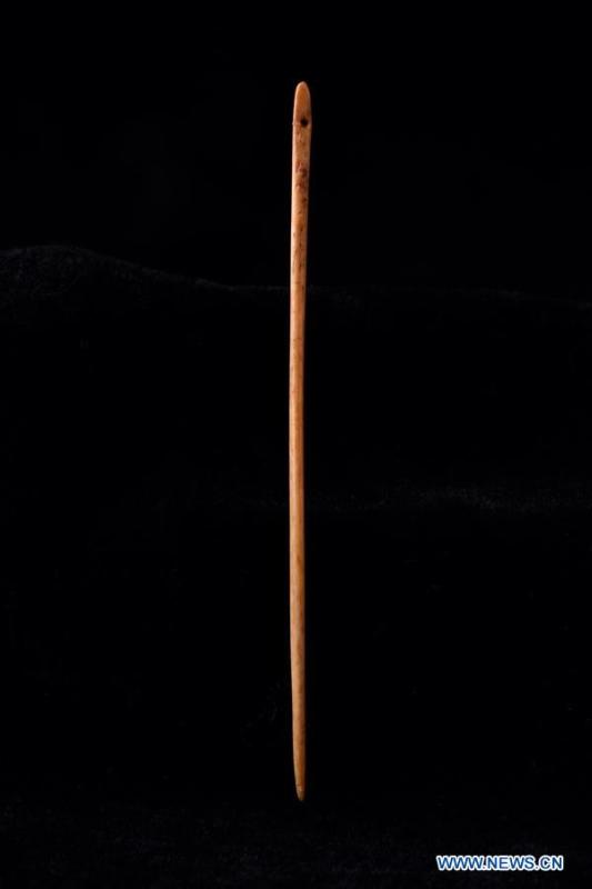 Undated file photo provided by Zhengzhou Municipal Institute of Archaeology shows the bone spicule unearthed in the Shuanghuaishu Remain in Gongyi City, central China\'s Henan Province. (Xinhua)