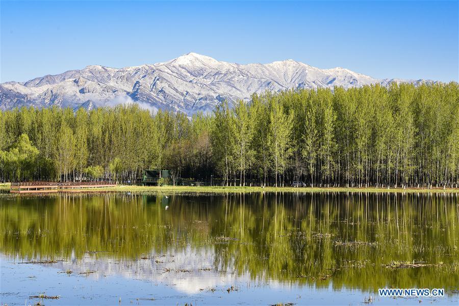 Photo taken on April 25, 2019 shows the scenery of Guishui River in Yanqing District of Beijing, capital of China. The International Horticultural Exhibition 2019 Beijing, the largest expo of its kind in the world, opened to the public Monday in Yanqing District. Yanqing boasts itself as being home to parts of the Great Wall. It is a summer resort and the agricultural base of Beijing. The upgrading of infrastructure and the acceleration of the horticulture industry because of the expo can further stimulate the development of tourism in Yanqing. (Xinhua/Liu Guifu)
