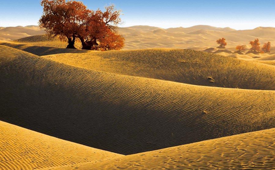 The Taklimakan desert in Xinjiang Uygur autonomous region.  (Photo provided to chinadaily.com.cn)
