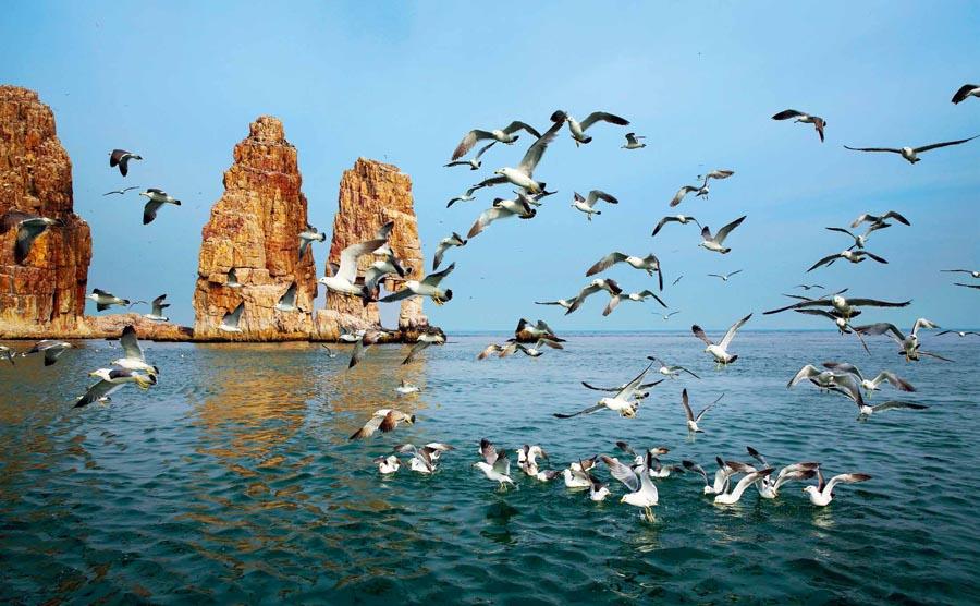 A glimpse of Changdao county in Yantai city, East China\'s Shandong Province. (Photo provided to chinadaily.com.cn)

It\'s part of the cultural series under the project China Tourism and Culture Week, which is sponsored by the Chinese Culture and Tourism Ministry\'s international exchanges and cooperation bureau, and organized by the Network of International Culturalink Entities (NICE), China cultural centers and tourism offices overseas.