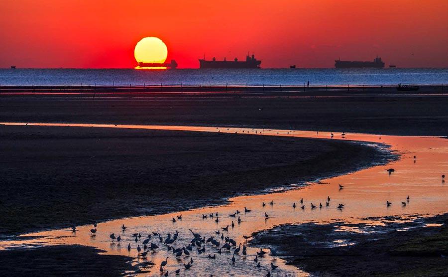 Sunrise over the sea, Qinhuangdao city, North China\'s Hebei Province.  (Photo provided to chinadaily.com.cn)