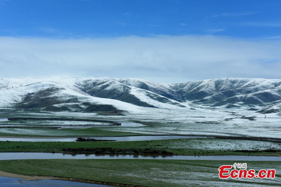 Snow covers the Hongyuan Prairie in Ngawa Tibetan and Qiang Autonomous Prefecture, Southwest China\'s Sichuan Province, May 7, 2019, after a cold front hit. The vast grassland is a tourist attraction in the province. (Photo: China News Service/Mou Jinghong)