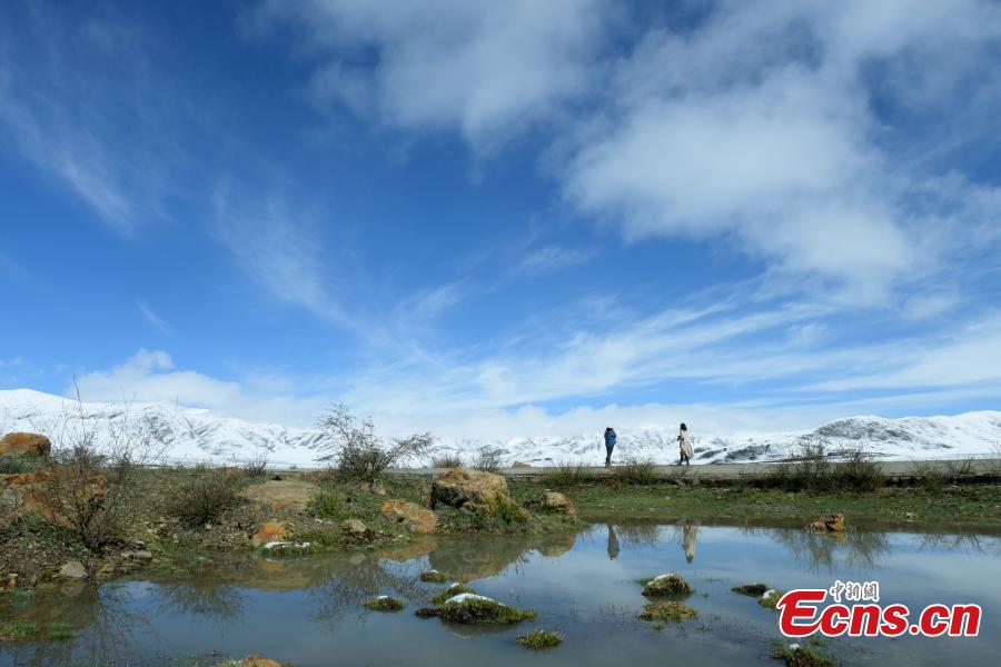 Snow covers the Hongyuan Prairie in Ngawa Tibetan and Qiang Autonomous Prefecture, Southwest China\'s Sichuan Province, May 7, 2019, after a cold front hit. The vast grassland is a tourist attraction in the province. (Photo: China News Service/Mou Jinghong)