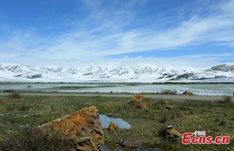 Snow covers the Hongyuan Prairie in Ngawa Tibetan and Qiang Autonomous Prefecture, Southwest China\'s Sichuan Province, May 7, 2019, after a cold front hit. The vast grassland is a tourist attraction in the province. (Photo: China News Service/Mou Jinghong)