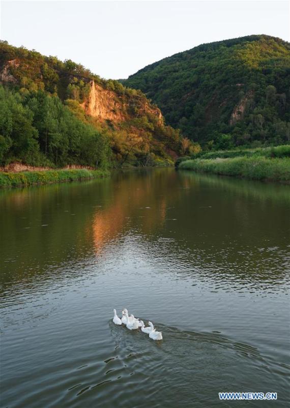 Photo shows the scenery of Ziwuling National Nature Reserve in Yan\'an, northwest China\'s Shaanxi Province on Aug. 22, 2018. Yan\'an, a former revolutionary base of the Communist Party of China (CPC), is no longer labeled \