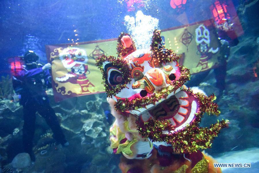 Divers perform underwater lion dance during a media preview at Aquaria KLCC underwater park in Kuala Lumpur, Malaysia, Jan. 30, 2019. China will hold the Conference on Dialogue of Asian Civilizations starting from May 15. Under the theme of \