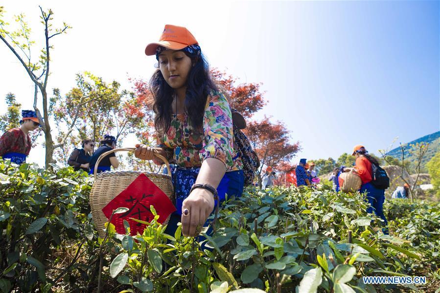 Foreign students pick tea leaves in Lushan City, east China\'s Jiangxi Province, on April 8, 2019. As an important part of Asian culture, tea is a special bond among Asian countries to deepen friendship and boost mutual exchanges. China will hold the Conference on Dialogue of Asian Civilizations starting from May 15. Under the theme of \