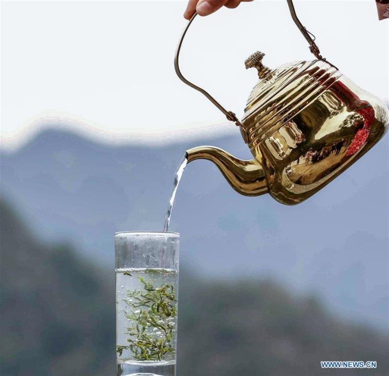 A cup of tea is served in Jiukeng Township, Chun\'an County, east China\'s Zhejiang Province, on March 26, 2019. As an important part of Asian culture, tea is a special bond among Asian countries to deepen friendship and boost mutual exchanges. China will hold the Conference on Dialogue of Asian Civilizations starting from May 15. Under the theme of \