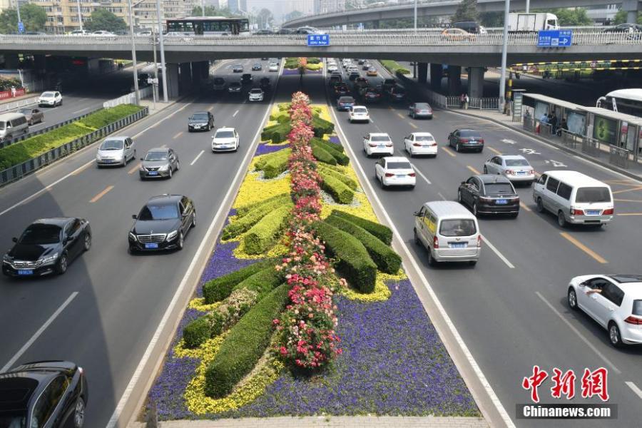 CDAC-themed flower bed debuts in Beijing on May 11, 2019. (Photo/VCG)