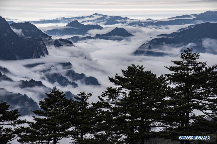 Photo taken on Oct. 20, 2018 shows the scenery of cloud sea at Shennongjia National Park in central China\'s Hubei Province. (Xinhua/Du Huaju)