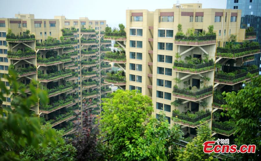 A “vertical forest” residential community with apartment buildings boasting shrub-covered balconies in Chengdu City, Sichuan Province, May 14, 2019.  (Photo: China News Service/Liu Zhongjun)