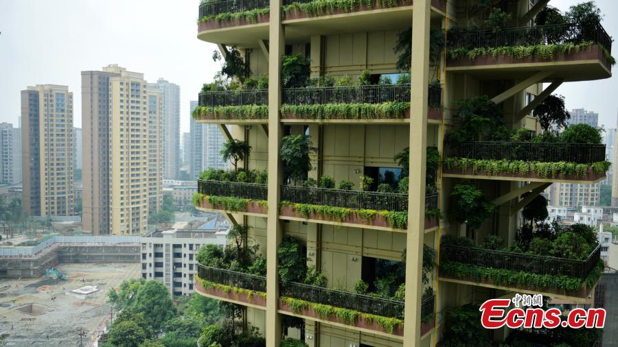 A “vertical forest” residential community with apartment buildings boasting shrub-covered balconies in Chengdu City, Sichuan Province, May 14, 2019.  (Photo: China News Service/Liu Zhongjun)