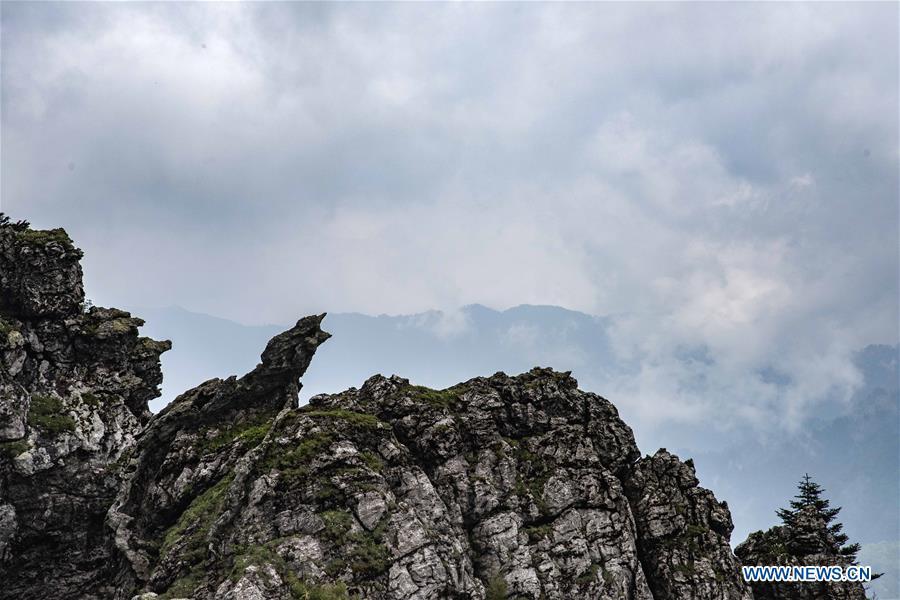 Photo taken on May 19, 2018 shows the scenery of Banbi Rocks in Shennongjia National Park in central China\'s Hubei Province. (Xinhua/Du Huaju)