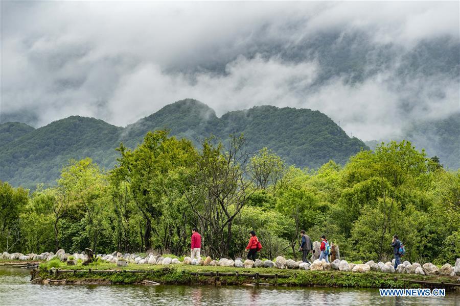Visitors walk in Shennongjia National Park in central China\'s Hubei Province, May 18, 2018. (Xinhua/Du Huaju)