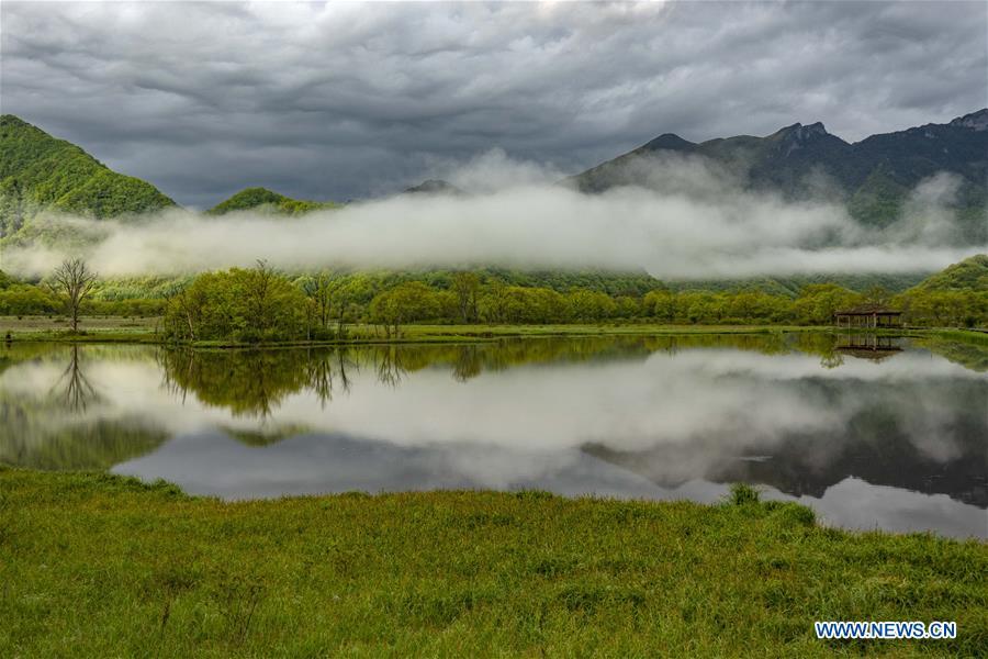 Photo taken on May 16, 2019 shows the scenery of Dajiu Lake (nine lakes) wetland in Shennongjia, central China\'s Hubei Province. (Xinhua/Liu Lianfen)