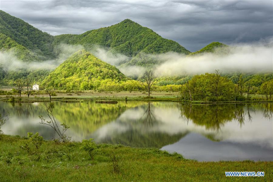 Photo taken on May 16, 2019 shows the scenery of Dajiu Lake (nine lakes) wetland in Shennongjia, central China\'s Hubei Province. (Xinhua/Liu Lianfen)
