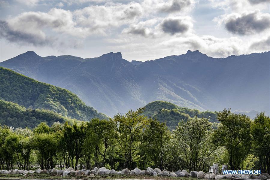 Photo taken on May 16, 2019 shows the scenery of Dajiu Lake (nine lakes) wetland in Shennongjia, central China\'s Hubei Province. (Xinhua/Liu Lianfen)