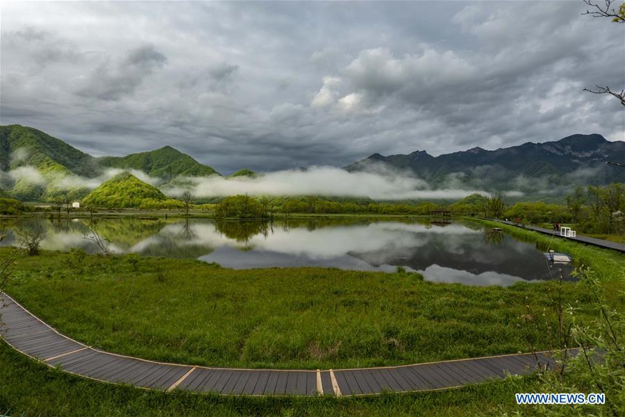 Photo taken on May 16, 2019 shows the scenery of Dajiu Lake (nine lakes) wetland in Shennongjia, central China\'s Hubei Province. (Xinhua/Liu Lianfen)
