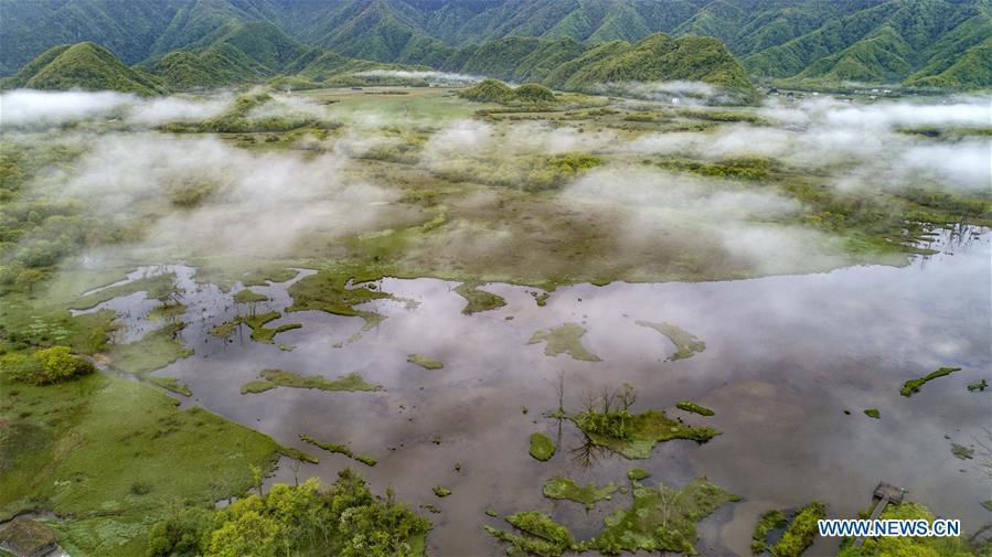 Aerial photo taken on May 16, 2019 shows the scenery of Dajiu Lake (nine lakes) wetland in Shennongjia, central China\'s Hubei Province. (Xinhua/Du Huaju)