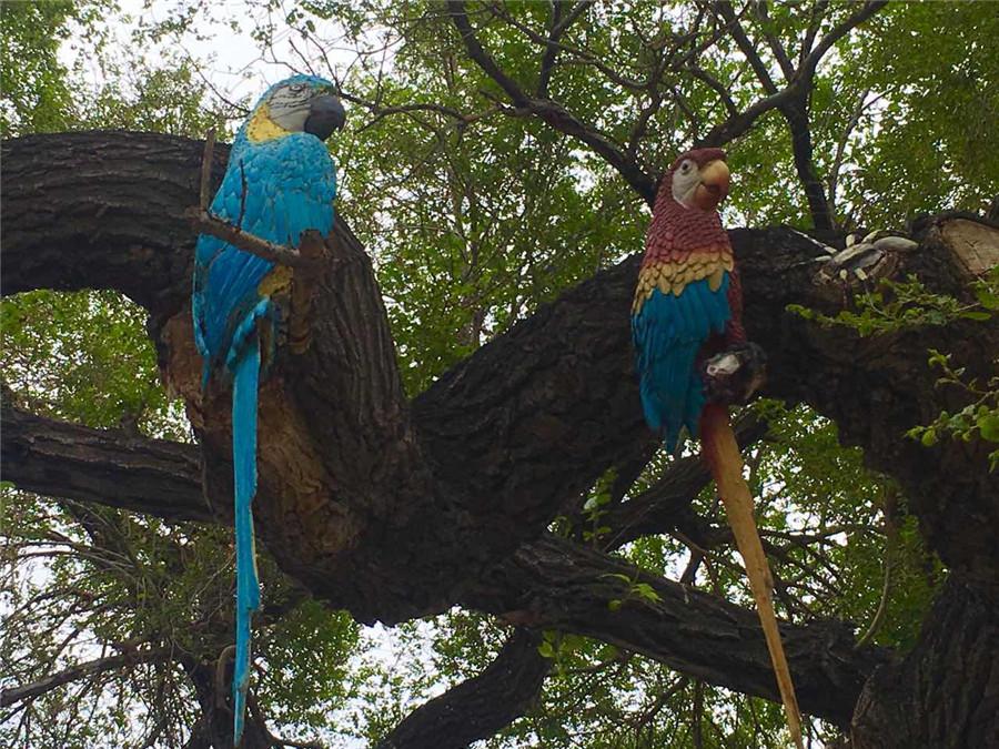 A tree trunk is painted with parrots in the Zoological and Botanical Garden in Changchun, capital of Northeast China\'s Jilin Province. (Photo/chinadaily.com.cn)

Around 40 trees with scars have become popular decorations, painted with vivid images of animals at the Zoological and Botanical Garden in Changchun, capital of Northeast China\'s Jilin Province.

Feng Shuxuan, 56, an experienced worker at this garden, has painted these images based on the shapes of the scars and direction of the branches, and has created various animal images like wolves, owls, tigers and giraffes, according to a report from ifeng.com, a news portal.

\