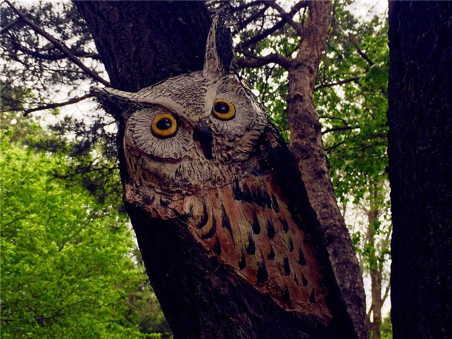 A tree trunk is painted with an owl in the Zoological and Botanical Garden in Changchun.  (Photo/chinadaily.com.cn)