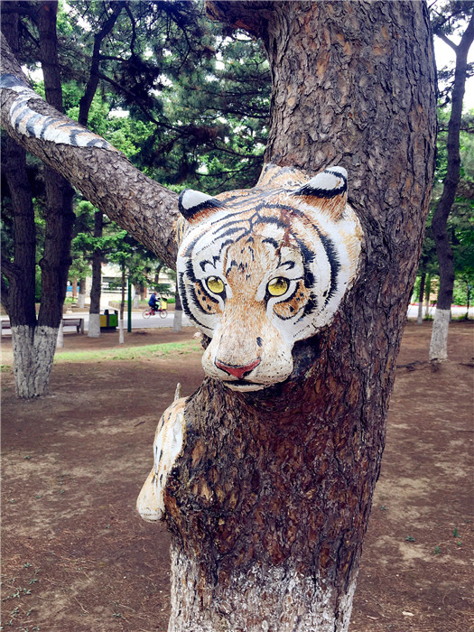 A tree trunk is painted with a tiger in the Zoological and Botanical Garden in Changchun. (Photo/chinadaily.com.cn)