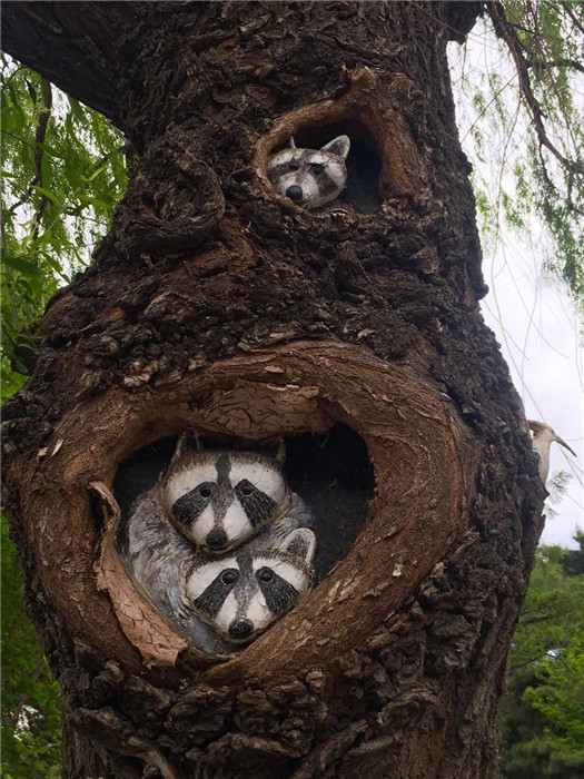 A tree trunk is painted with raccoons in the Zoological and Botanical Garden in Changchun, capital of Northeast China\'s Jilin Province. (Photo/chinadaily.com.cn)