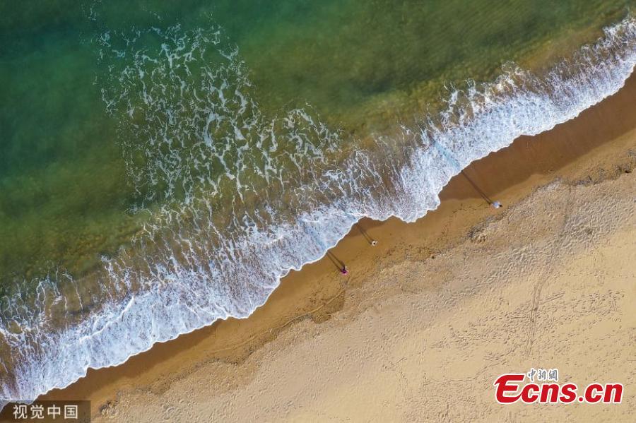 Green waves crash on golden sand of the beach in Qingdao, East China’s Shandong province on May 21, 2019. (Photo/VCG)