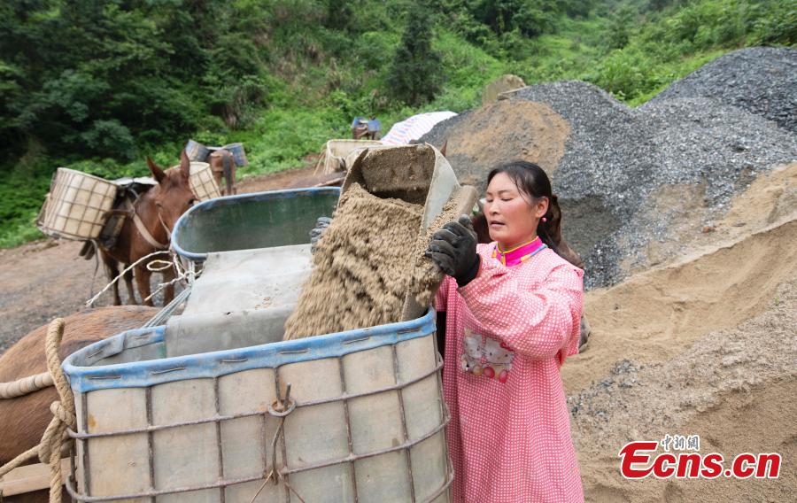 A caravan, consisting of over 20 mules and horses, transports construction materials to build a 4.2-kilometer footpath on a mountain in Xinyu City, East China’s Jiangxi Province, May 21, 2019. Led by Wang Lianpin, the caravan has helped  in construction of footpaths in tourist attractions and electricity projects in areas inaccessible by vehicles for ten years. Wang’s team now includes 13 members. (Photo: China News Service/Zhao Chunliang)