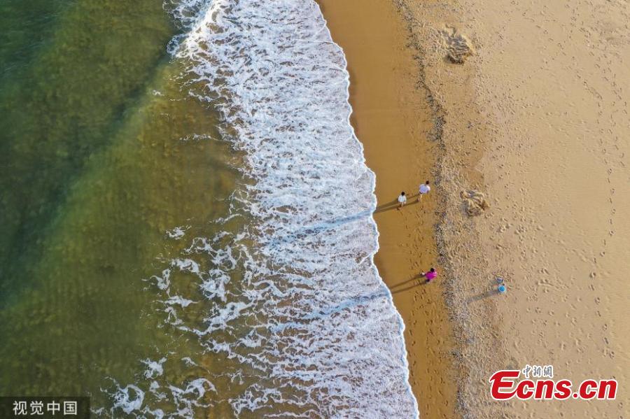 Green waves crash on golden sand of the beach in Qingdao, East China’s Shandong province on May 21, 2019. (Photo/VCG)