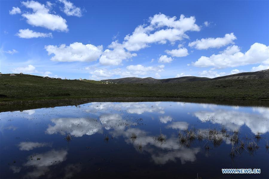 Photo taken on May 21, 2019 shows the scenery of the Nianbaoyuze Mountain Scenic Resort in Jiuzhi County of the Tibetan Autonomous Prefecture of Golog in northwest China\'s Qinghai Province. (Xinhua/Zhang Hongxiang)