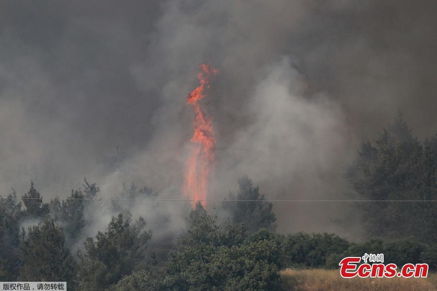 Fire engulfs trees in a burning forest amidst extreme heat wave near the Israeli city of Modiin on May 23, 2019. (Photo/Agencies)