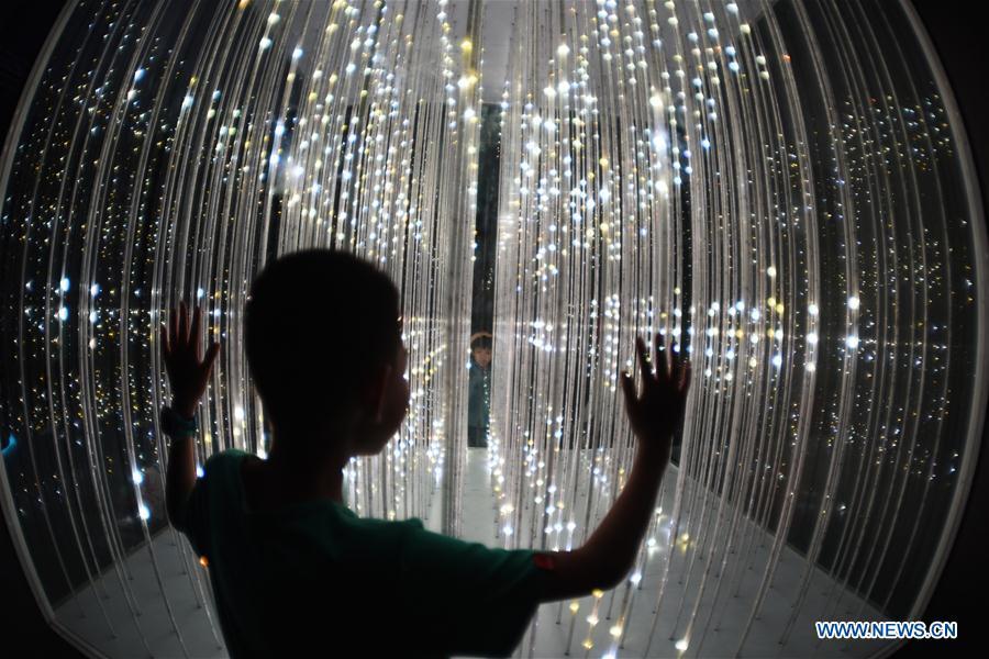 A visitor views an artwork in an exhibition featuring digital art during China International Big Data Industry Expo 2019 in Guiyang, capital of southwest China\'s Guizhou Province, May 27, 2019. The exhibition is a part of four-day China International Big Data Industry Expo 2019 that kicked off on May 26, 2019. (Xinhua/Yang Wenbin)