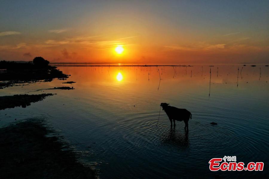 The photo taken shows the Chaohu Lake at twilight in Chaohu, east China\'s Anhui Province. (Photo: China News Service/Li Bin)
