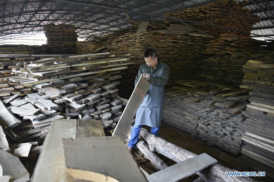 Chen Dongming chooses wood to make wood-block paintings at a factory in Huanren County of Benxi, northeast China\'s Liaoning Province, May 27, 2019. Chen Dongming, a 52-year-old wood-block painter from Wafang Village of Huanren County in Benxi, learned the techniques from his grandfather since young. As an inheritor of Huanren wood-block painting, a provincial intangible cultural heritage in Liaoning, Chen has been committed to making a proper integration of traditional Chinese landscape paintings and wood-block New Year paintings to promote the craft in an innovative way. (Xinhua/Yao Jianfeng)