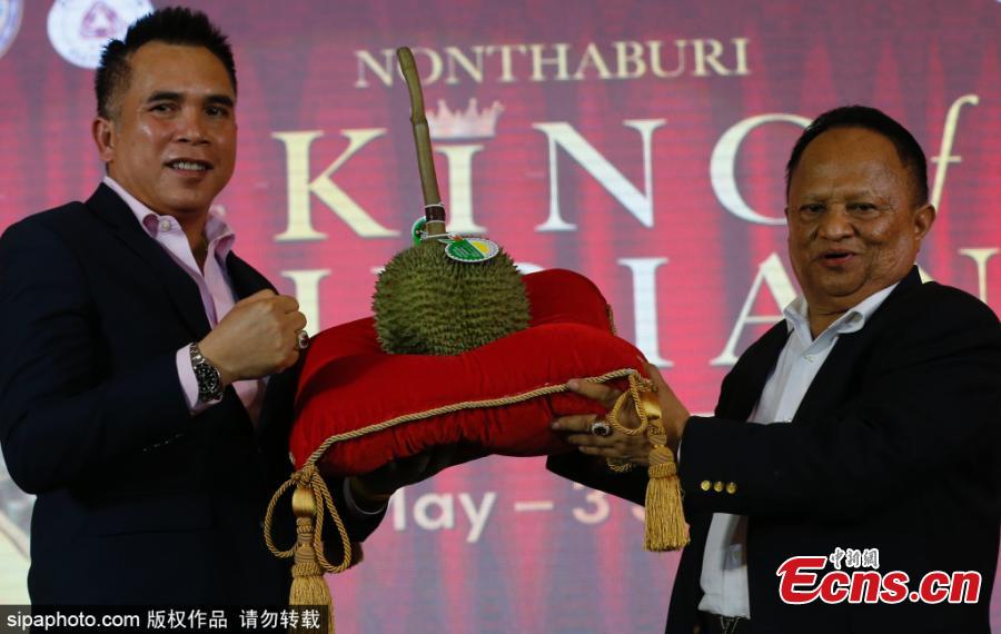 A treasured durian fruit has sold for a staggering 1.5 million baht (about $47,900) at an auction in Thailand. The kanyao variety - which is the most expensive in the world - attracted bids from dozens of wealthy fruit lovers at the event in Nonthaburi, central Thailand on June 1, 2019. Officials had handpicked the durian just a day before from a nearby farm where the minimum price of the fruit is 20,000 baht. But the luxury durian - chosen for its perfect size, shape, and ripeness - smashed the previous year’s record of 800,000 baht when it was put up for sale at the King Of Durian 2019 festival. (1 USD equals about 31.33 Thai baht) (Photo/Sipaphoto)
