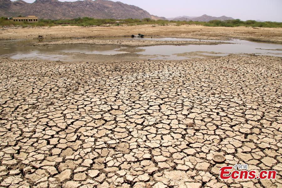 A general view of a lake running dry on a hot summer day near Ajmer on June 2, 2019. Temperatures passed 50 degrees Celsius (122 Fahrenheit) in northern India as an unrelenting heatwave triggered warnings of water shortages and heatstroke.(Photo/IC)