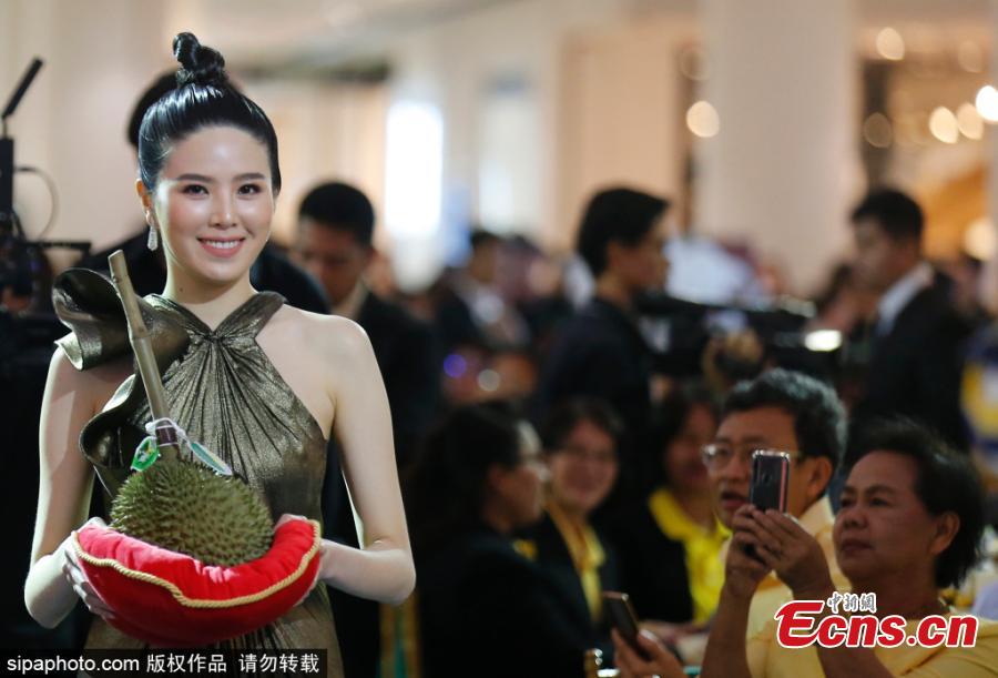 A treasured durian fruit has sold for a staggering 1.5 million baht (about $47,900) at an auction in Thailand. The kanyao variety - which is the most expensive in the world - attracted bids from dozens of wealthy fruit lovers at the event in Nonthaburi, central Thailand on June 1, 2019. Officials had handpicked the durian just a day before from a nearby farm where the minimum price of the fruit is 20,000 baht. But the luxury durian - chosen for its perfect size, shape, and ripeness - smashed the previous year’s record of 800,000 baht when it was put up for sale at the King Of Durian 2019 festival. (1 USD equals about 31.33 Thai baht) (Photo/Sipaphoto)